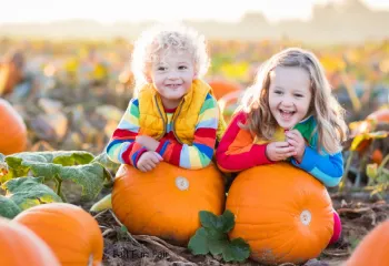 Two Blond children in a pumpkin patch