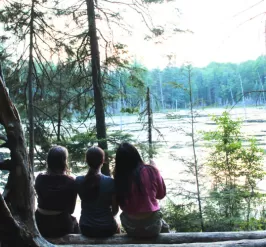 3 individuals on a log looking out at the water