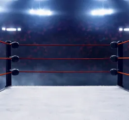 Wrestling ring