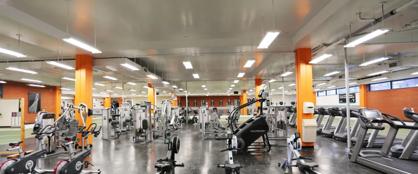 Rows of cardio machines