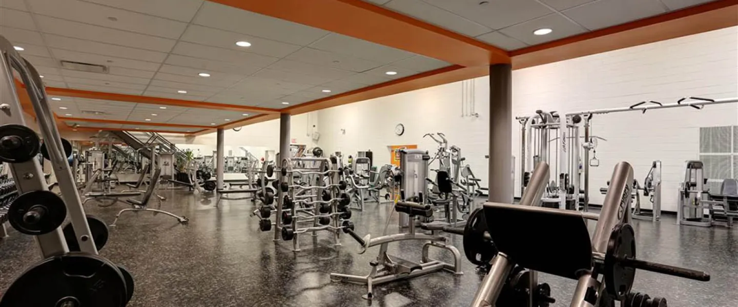 Strength training equipment and free weights