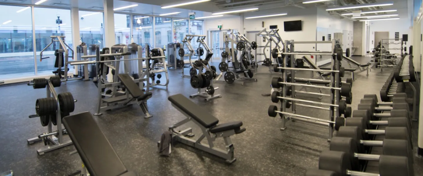 Rows of free weights and strength training equipment