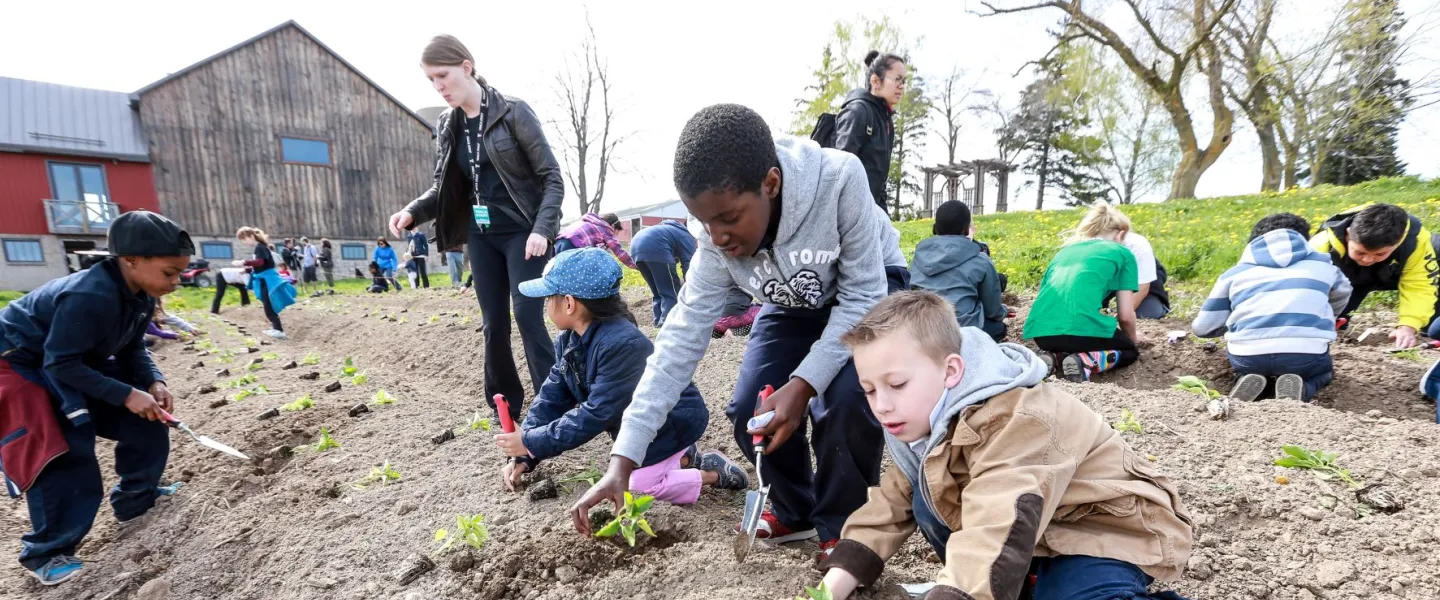 Kids planting in dirt