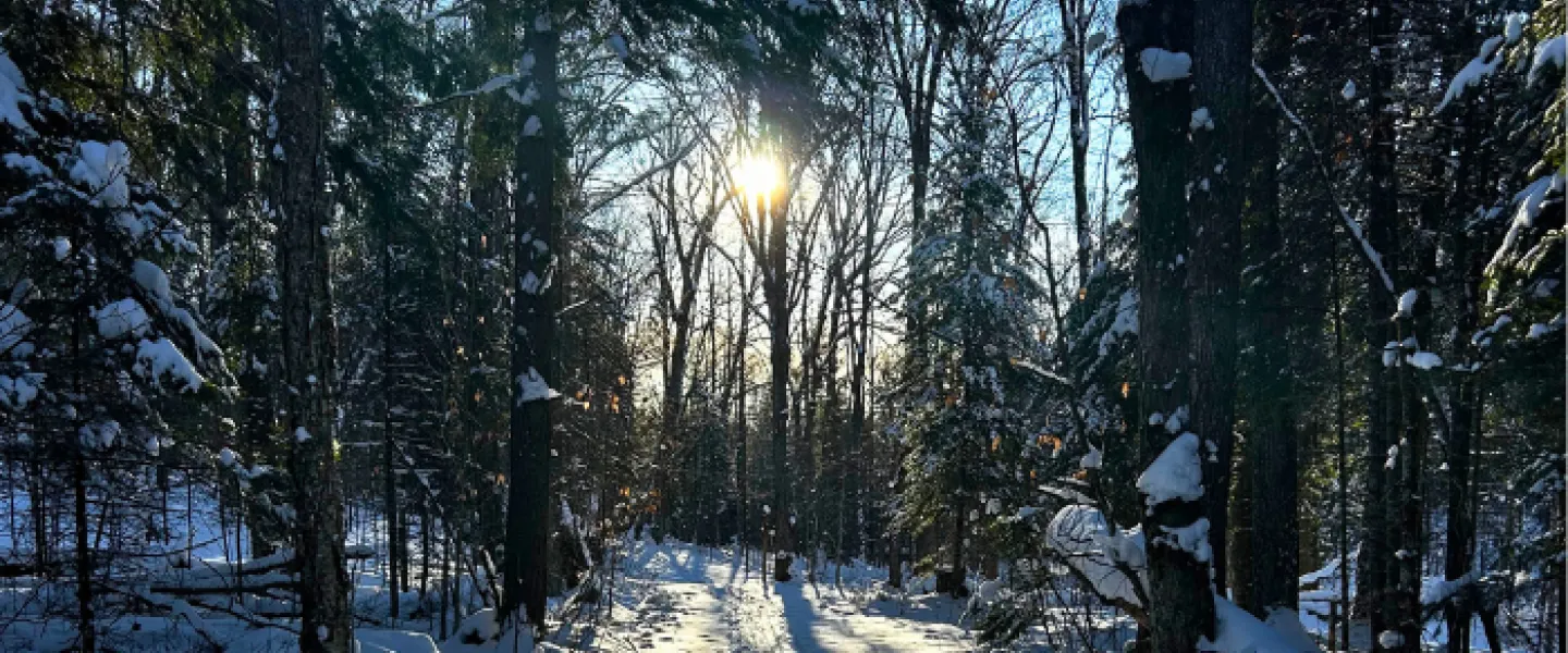 Snowy path at Wanakita
