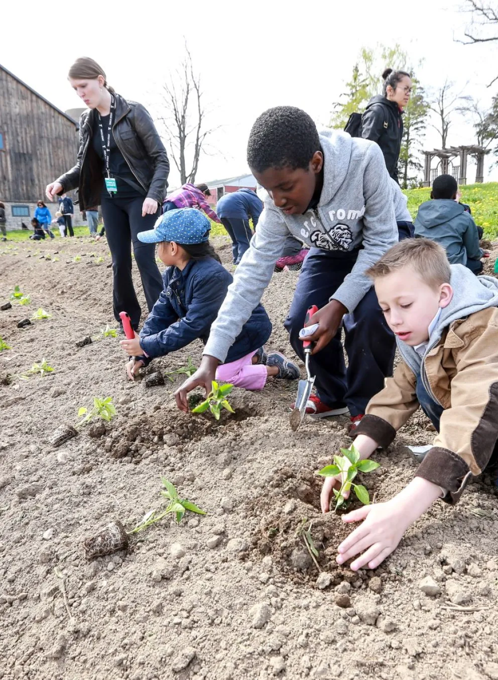 Kids planting in dirt