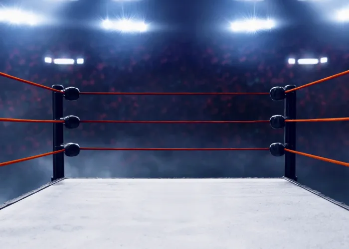 Wrestling ring
