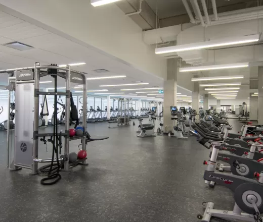 Rows of cardio machines and strength training equipment