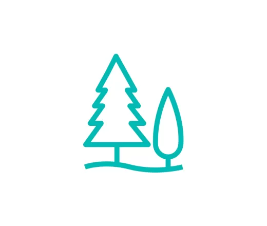 Camp Icon