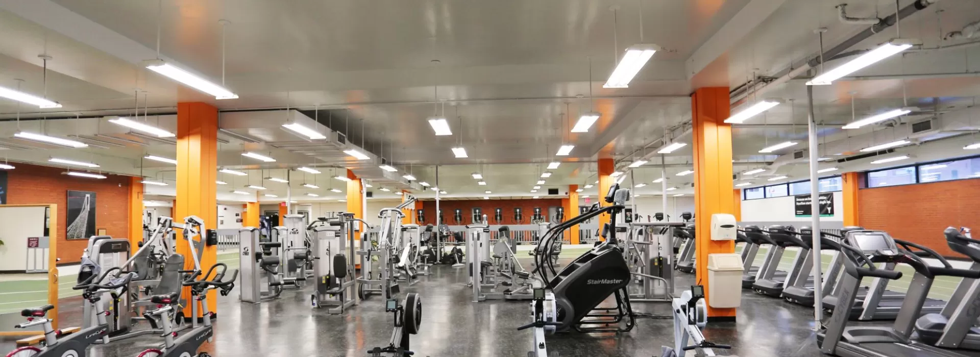 Rows of cardio machines