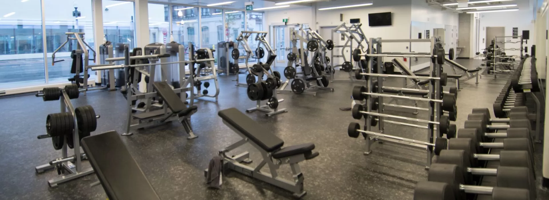 Exercise equipment brantford deals