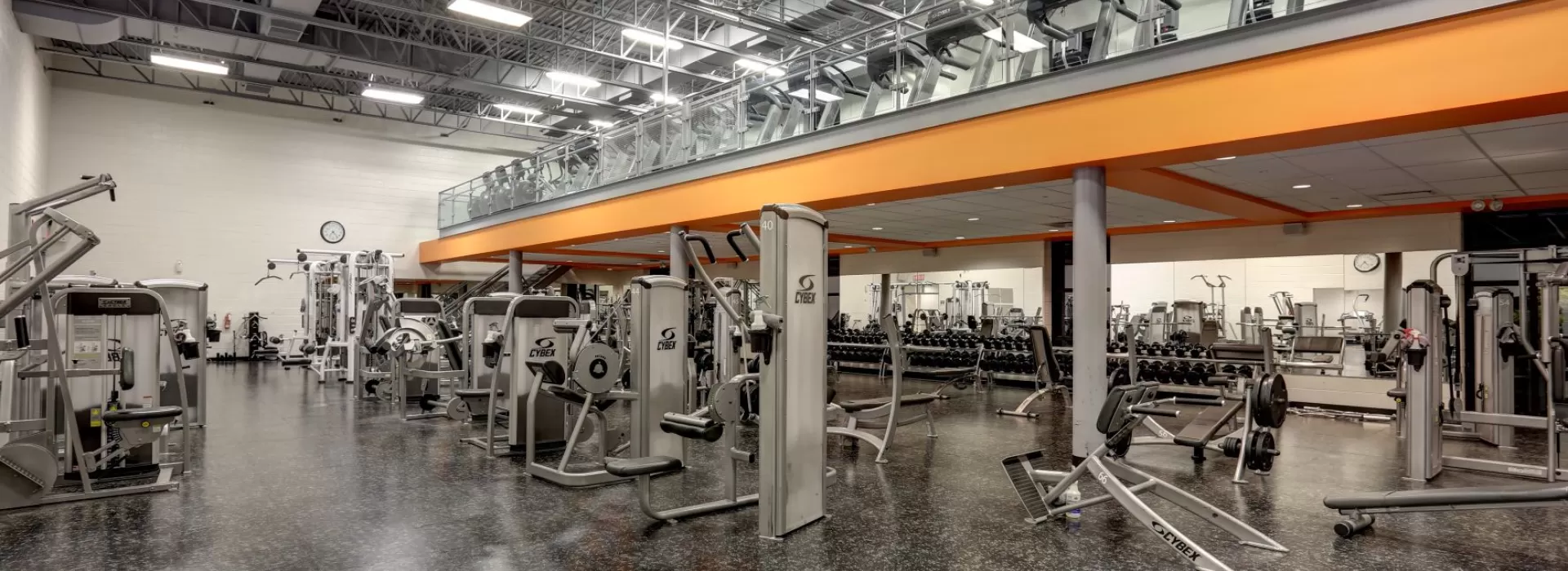 Two floors of cardio and strength training equipment