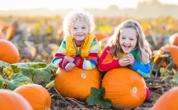 Two Blond children in a pumpkin patch